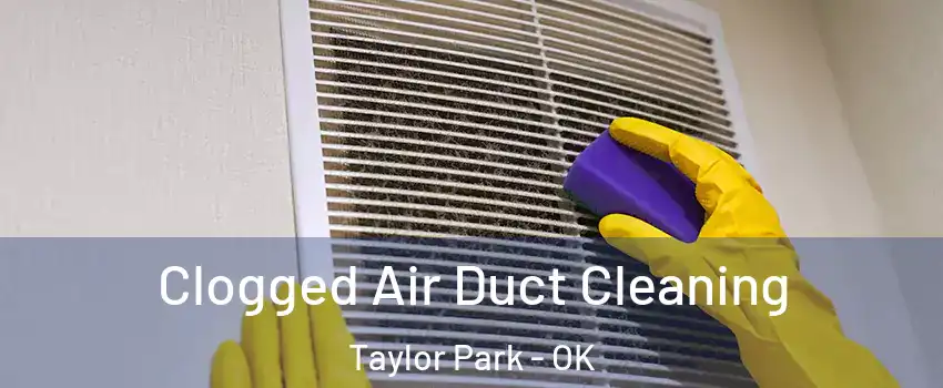 Clogged Air Duct Cleaning Taylor Park - OK