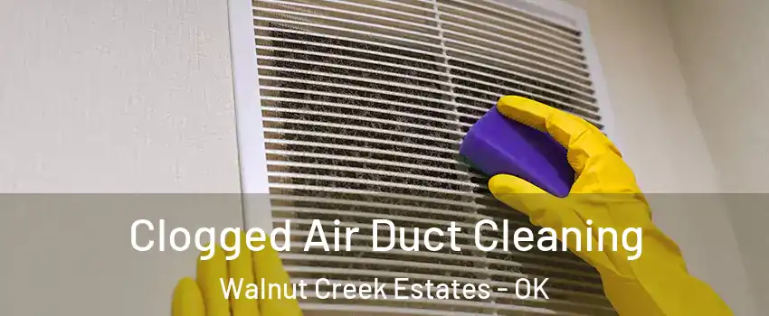 Clogged Air Duct Cleaning Walnut Creek Estates - OK