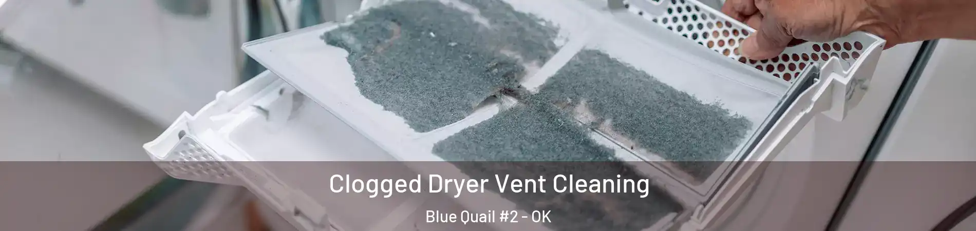 Clogged Dryer Vent Cleaning Blue Quail #2 - OK