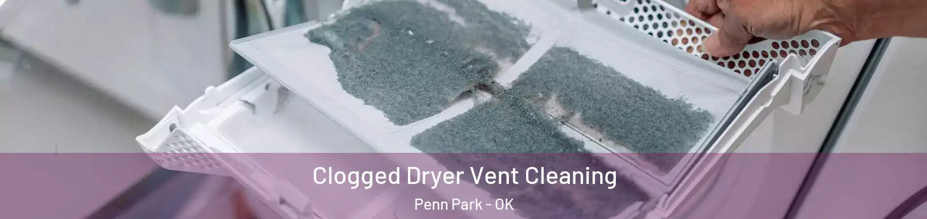 Clogged Dryer Vent Cleaning Penn Park - OK