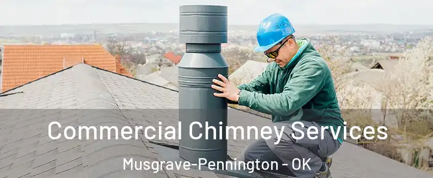 Commercial Chimney Services Musgrave-Pennington - OK