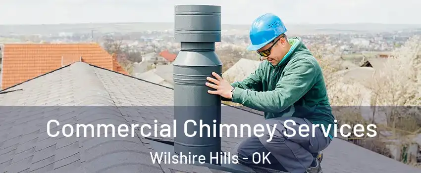 Commercial Chimney Services Wilshire Hills - OK