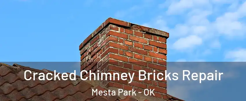 Cracked Chimney Bricks Repair Mesta Park - OK