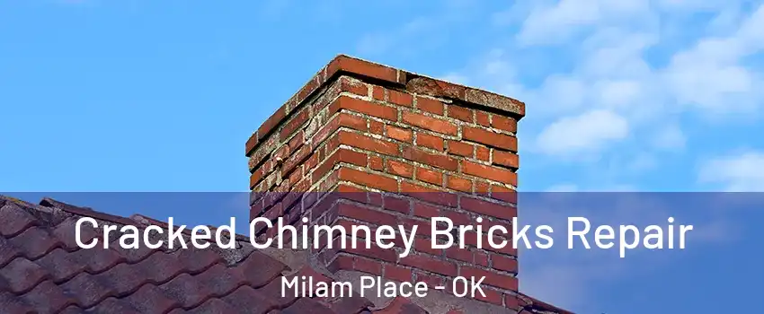 Cracked Chimney Bricks Repair Milam Place - OK