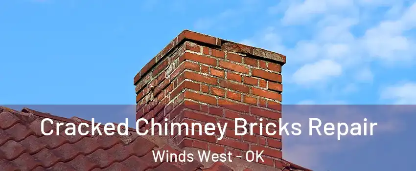 Cracked Chimney Bricks Repair Winds West - OK