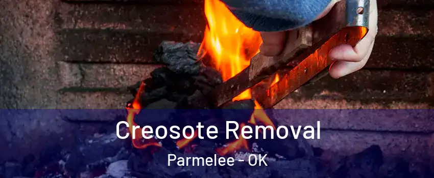 Creosote Removal Parmelee - OK