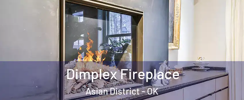 Dimplex Fireplace Asian District - OK