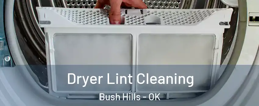 Dryer Lint Cleaning Bush Hills - OK