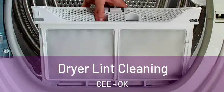 Dryer Lint Cleaning CEE - OK