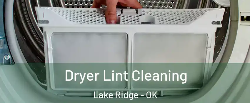 Dryer Lint Cleaning Lake Ridge - OK