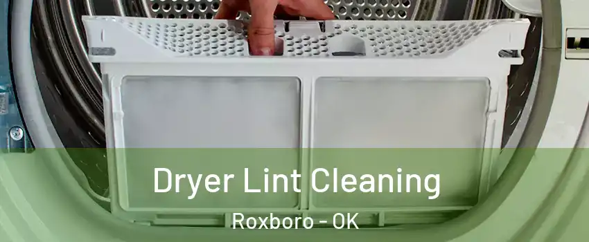 Dryer Lint Cleaning Roxboro - OK