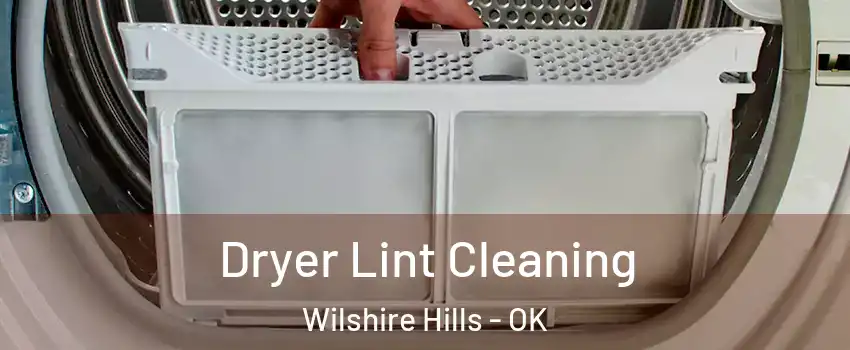 Dryer Lint Cleaning Wilshire Hills - OK