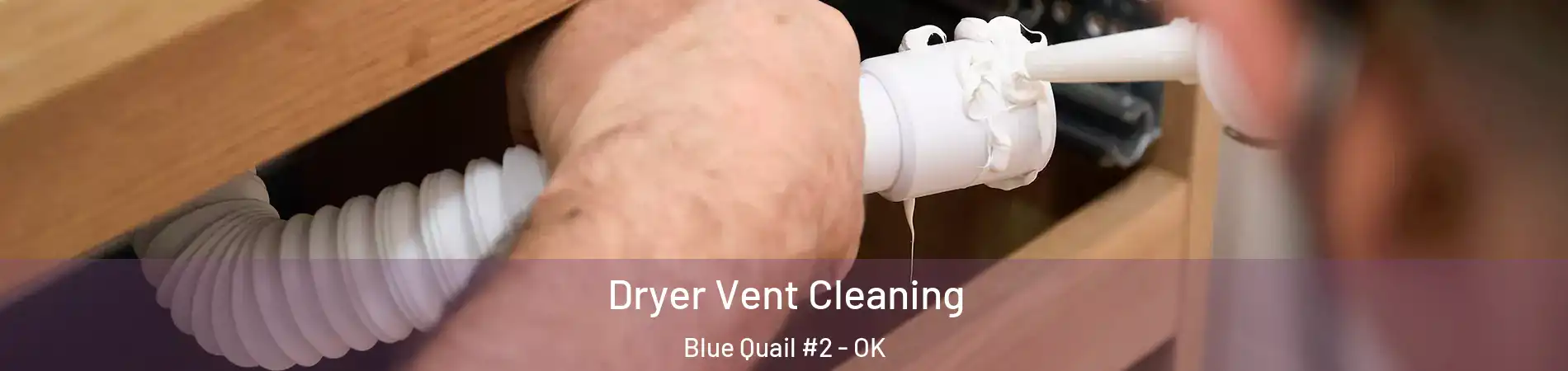 Dryer Vent Cleaning Blue Quail #2 - OK