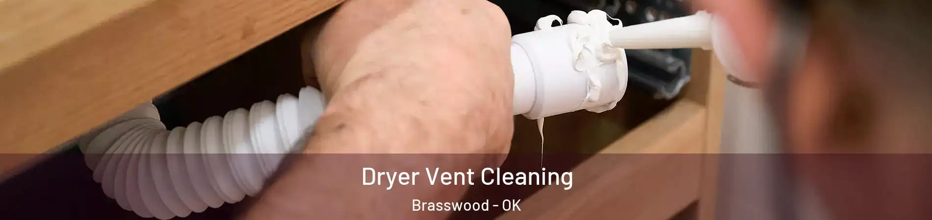 Dryer Vent Cleaning Brasswood - OK