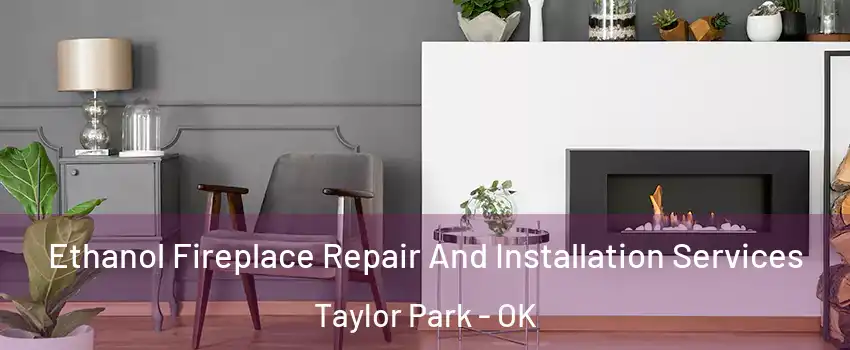 Ethanol Fireplace Repair And Installation Services Taylor Park - OK