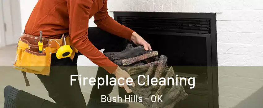 Fireplace Cleaning Bush Hills - OK