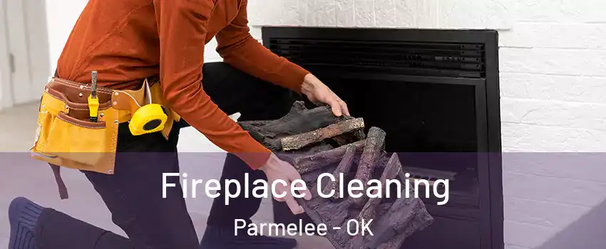 Fireplace Cleaning Parmelee - OK