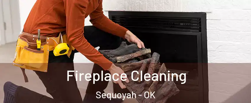 Fireplace Cleaning Sequoyah - OK