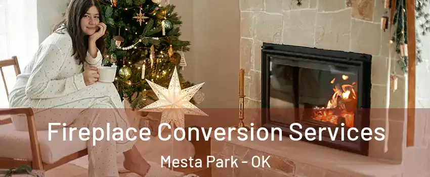 Fireplace Conversion Services Mesta Park - OK