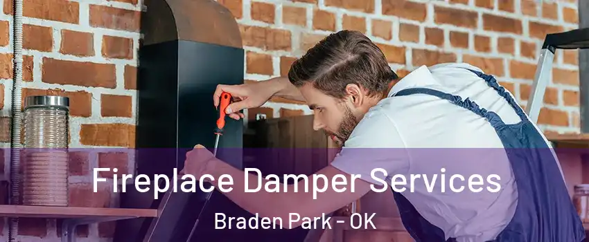 Fireplace Damper Services Braden Park - OK