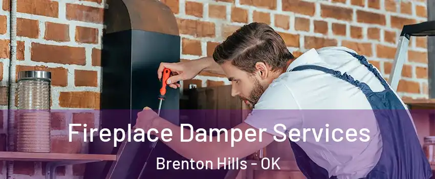 Fireplace Damper Services Brenton Hills - OK