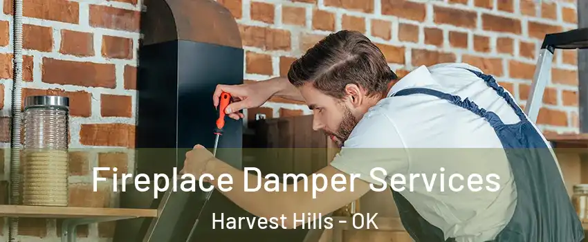 Fireplace Damper Services Harvest Hills - OK