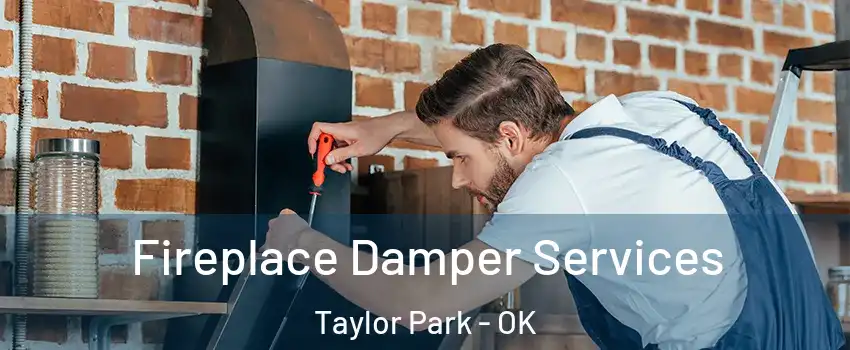 Fireplace Damper Services Taylor Park - OK