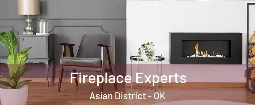 Fireplace Experts Asian District - OK