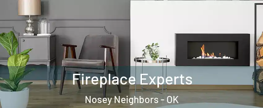 Fireplace Experts Nosey Neighbors - OK