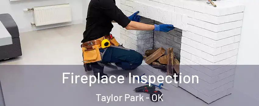 Fireplace Inspection Taylor Park - OK