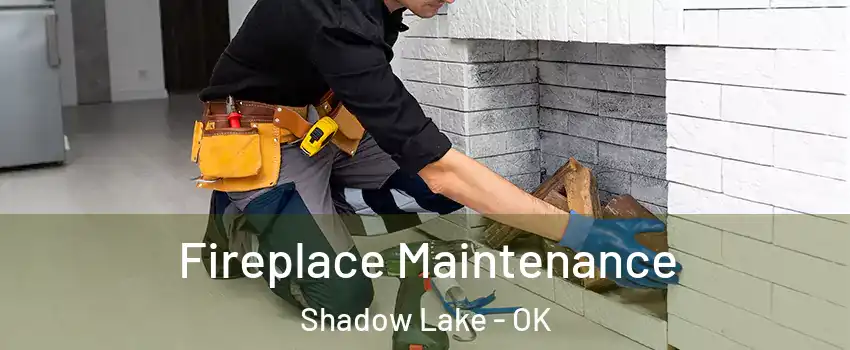 Fireplace Maintenance Shadow Lake - OK