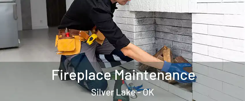 Fireplace Maintenance Silver Lake - OK