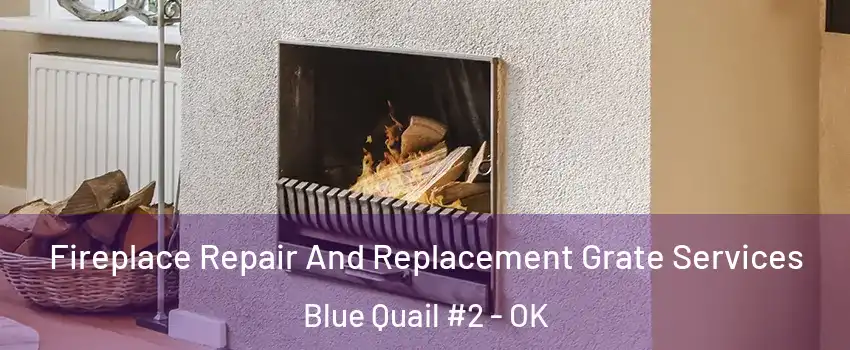 Fireplace Repair And Replacement Grate Services Blue Quail #2 - OK