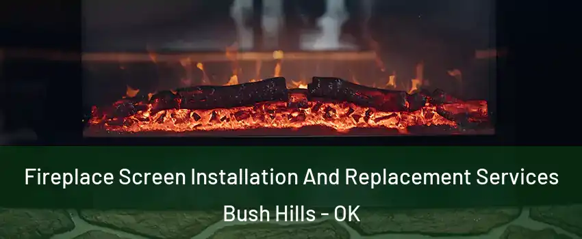 Fireplace Screen Installation And Replacement Services Bush Hills - OK