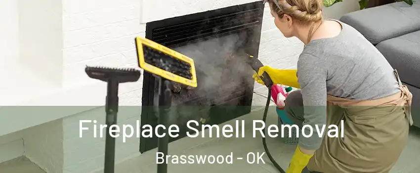 Fireplace Smell Removal Brasswood - OK