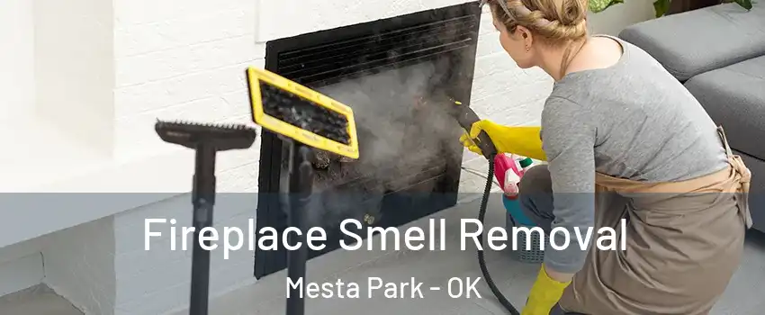 Fireplace Smell Removal Mesta Park - OK