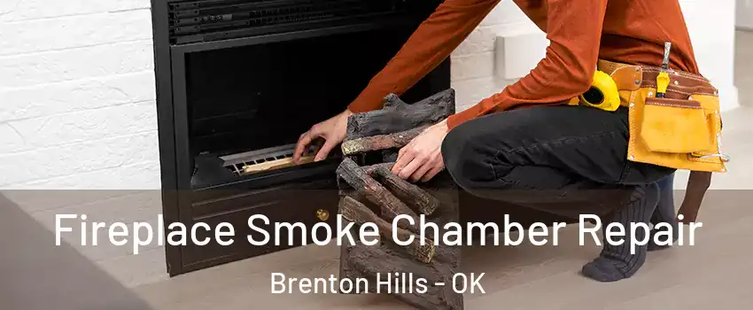 Fireplace Smoke Chamber Repair Brenton Hills - OK