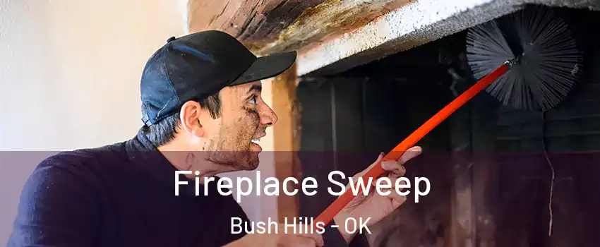 Fireplace Sweep Bush Hills - OK