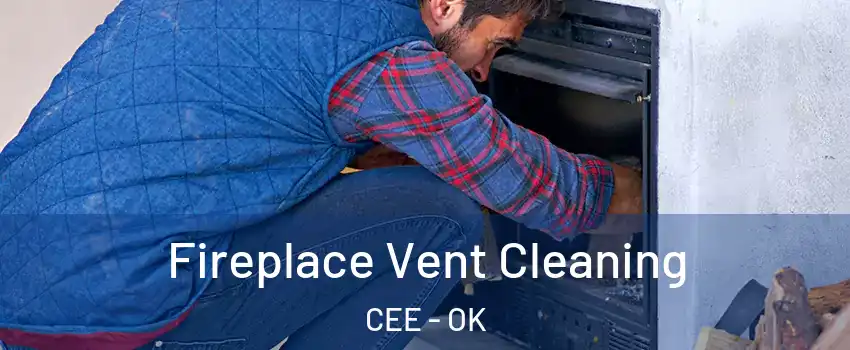 Fireplace Vent Cleaning CEE - OK