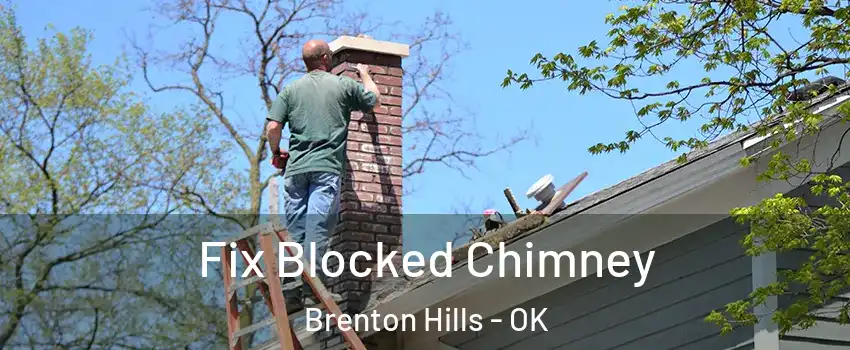 Fix Blocked Chimney Brenton Hills - OK