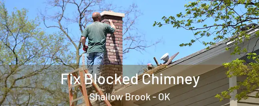 Fix Blocked Chimney Shallow Brook - OK