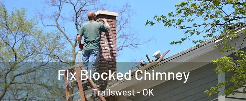 Fix Blocked Chimney Trailswest - OK