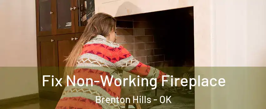 Fix Non-Working Fireplace Brenton Hills - OK