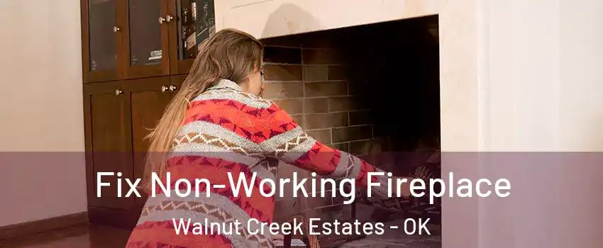 Fix Non-Working Fireplace Walnut Creek Estates - OK