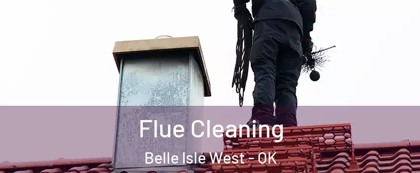 Flue Cleaning Belle Isle West - OK