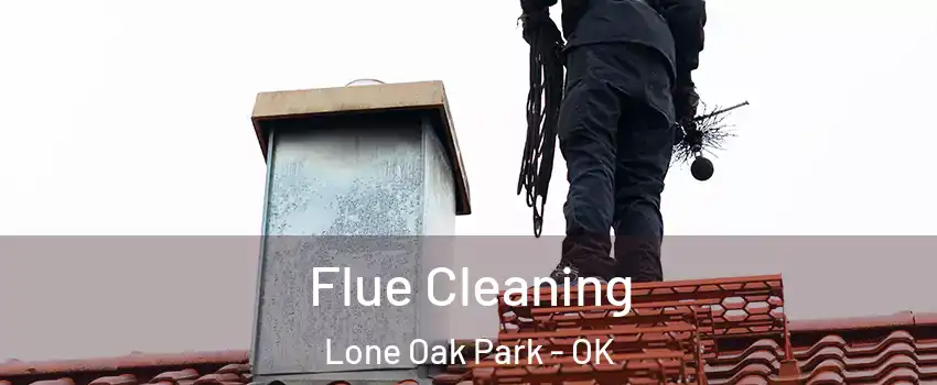 Flue Cleaning Lone Oak Park - OK