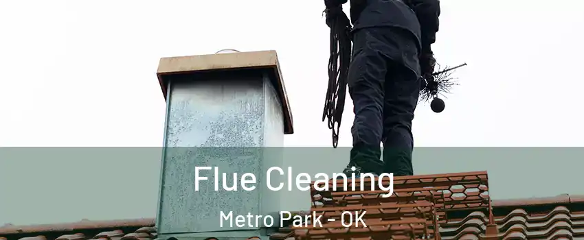 Flue Cleaning Metro Park - OK