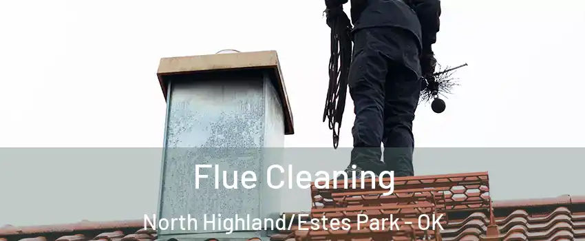 Flue Cleaning North Highland/Estes Park - OK