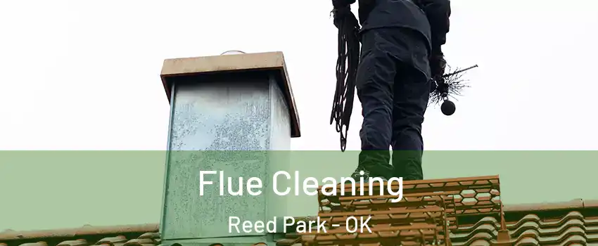 Flue Cleaning Reed Park - OK