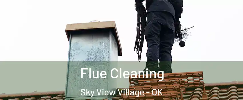 Flue Cleaning Sky View Village - OK